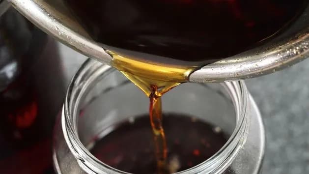 Jak zrobić nalewkę z miłorzębu i cieszyć się jej zdrowotnymi właściwościami