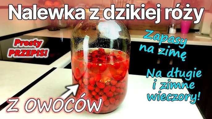 Jak zrobić nalewkę z róży w prosty sposób - sprawdzone przepisy i porady