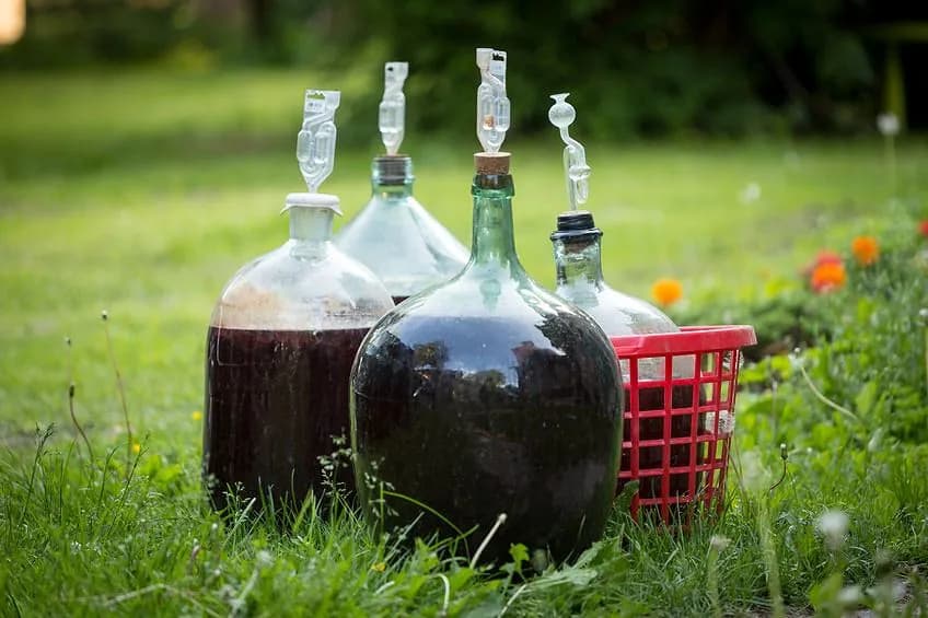 Ile kosztuje butelka wina domowego? Sprawdź ceny i opcje zakupowe