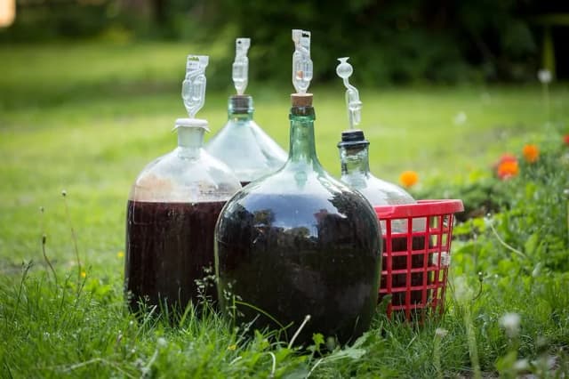 Ile kosztuje butelka wina domowego? Sprawdź ceny i opcje zakupowe