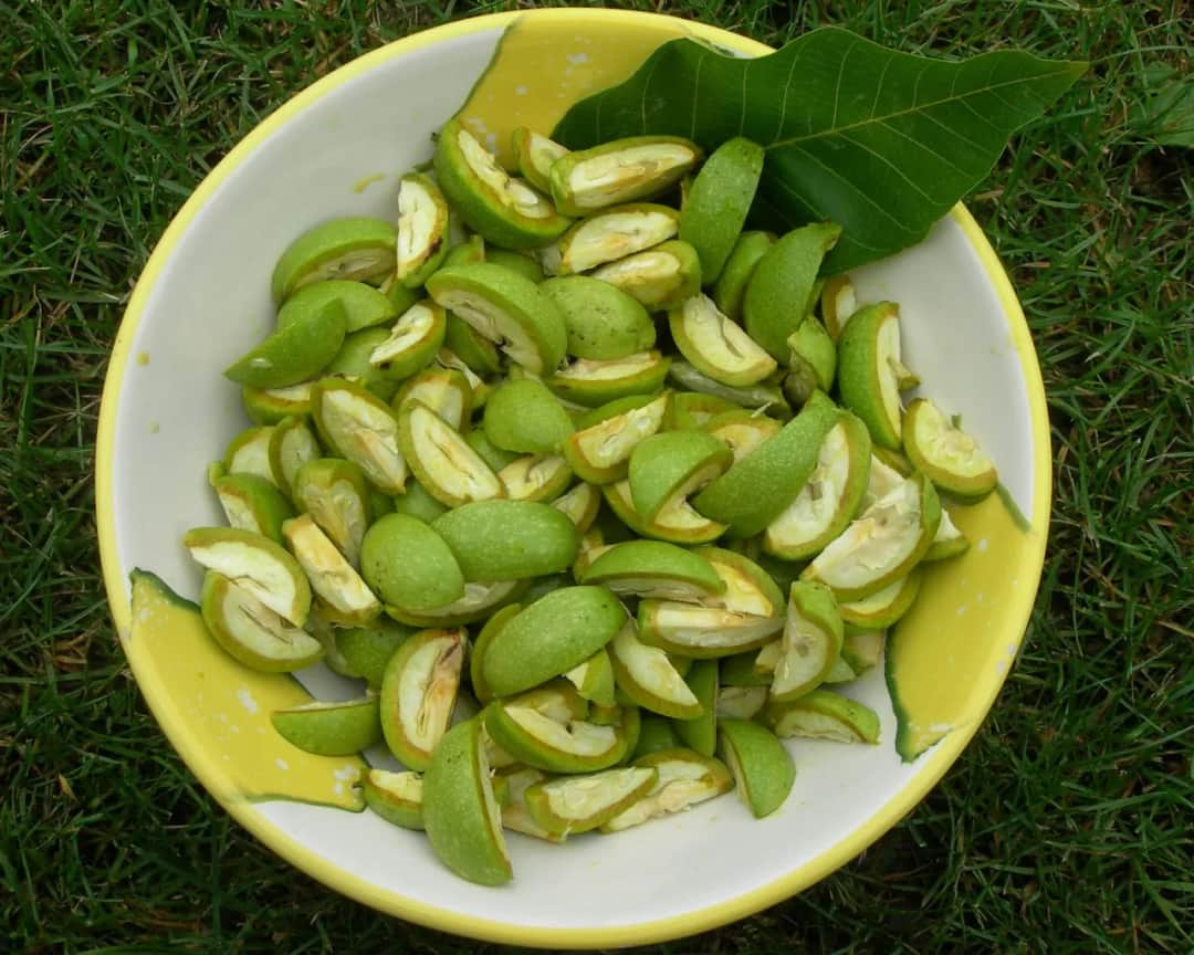 Kiedy zrywać orzechy na nalewkę, aby uzyskać najlepszy smak