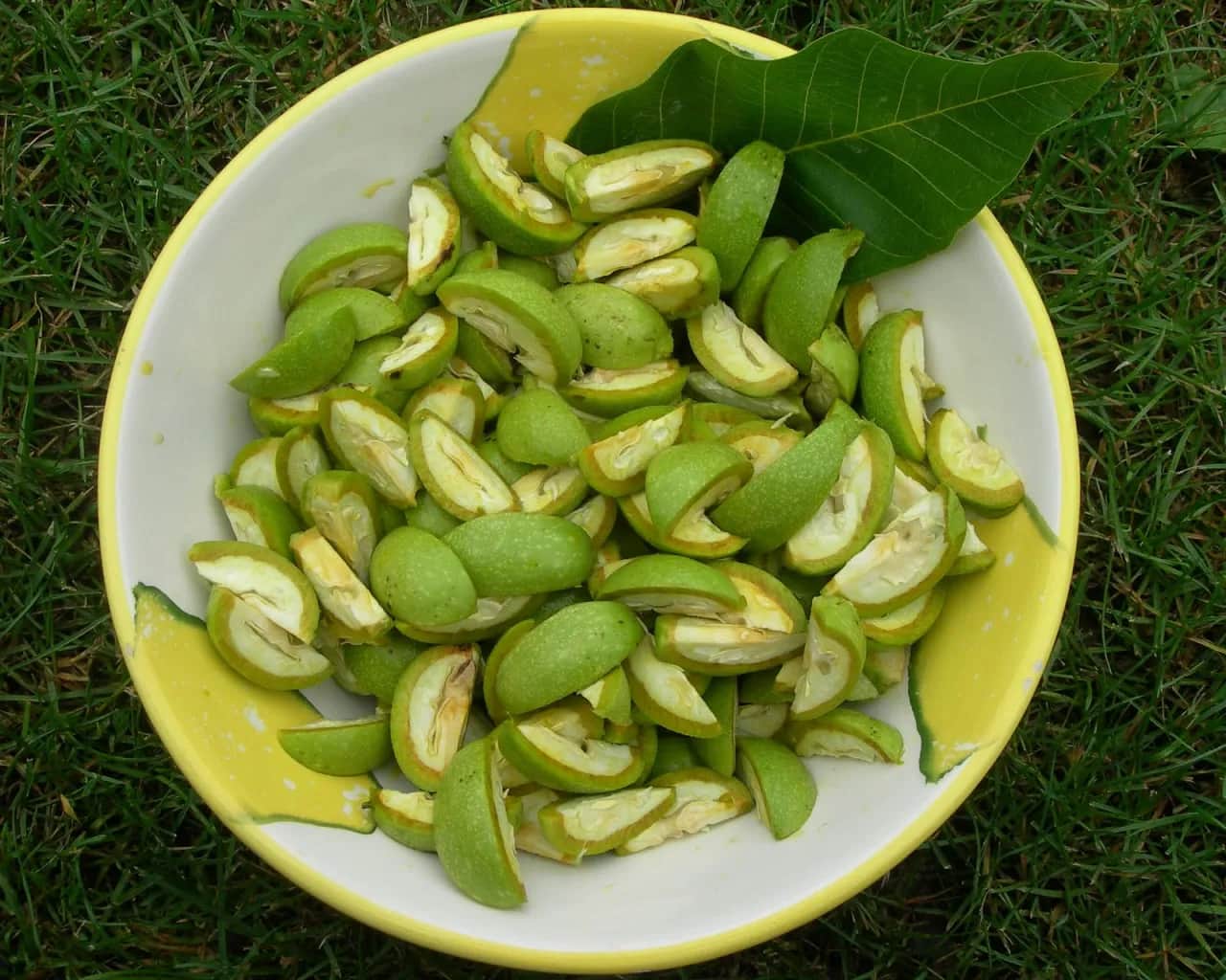 Kiedy zrywać orzechy na nalewkę, aby uzyskać najlepszy smak